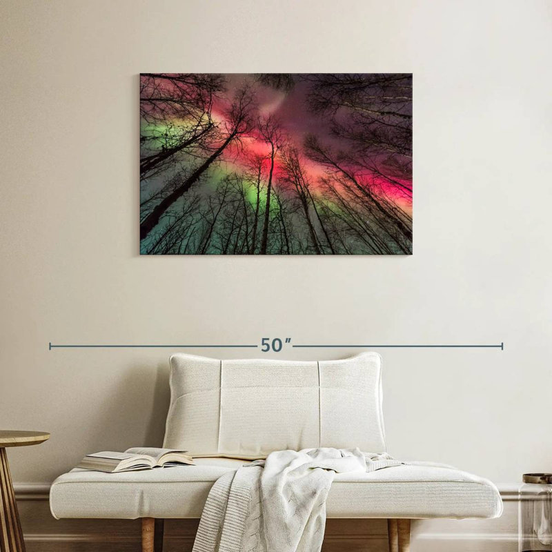 Alvord Fairbanks Forest Northern Lights, H 24 po x l 36 po
