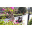 HOMCOM 2 Seat Bike Trailer for Kids 5 Point Harness for 18+ Months