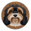  Tapis lavable pour chiens Eurasier-294000456