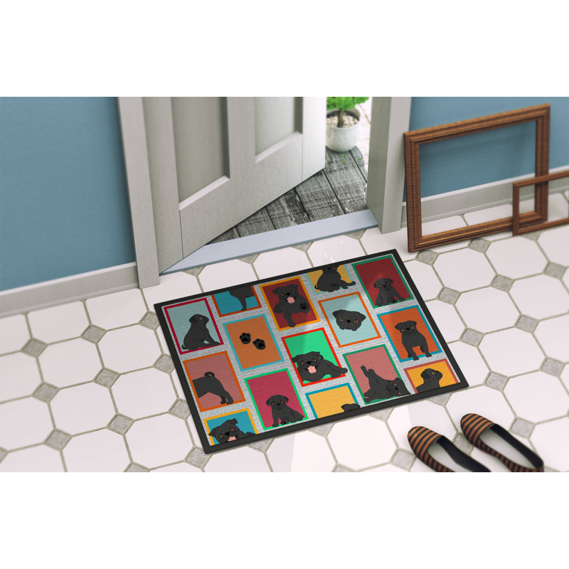 Odelle Non-Slip Doormat, 24" W x 36" L