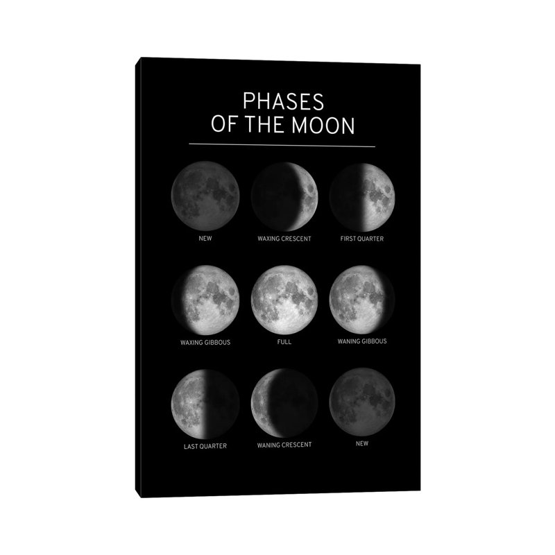 Phases de la lune - impression, Toile tendue, Pas de tapis, H 60 po x l 40po x P 1,5 po