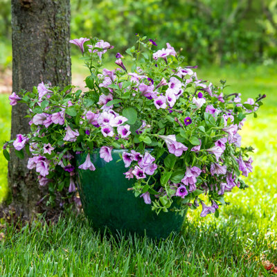 Caydin Round Ceramic Outdoor Planter - Dark Green - 14.5"