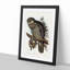 Powerful Owl by Elizabeth Gould - Picture Frame Painting Print-55601768-55601771