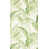 Beige/Green