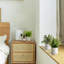 Fausse plante en pot 10 po