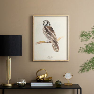Reproduction encadrée Canada Owl - bois massif