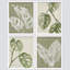 «Tropical Monstera», feuille verte sauge, impression 4 pièces-90691771-90691773