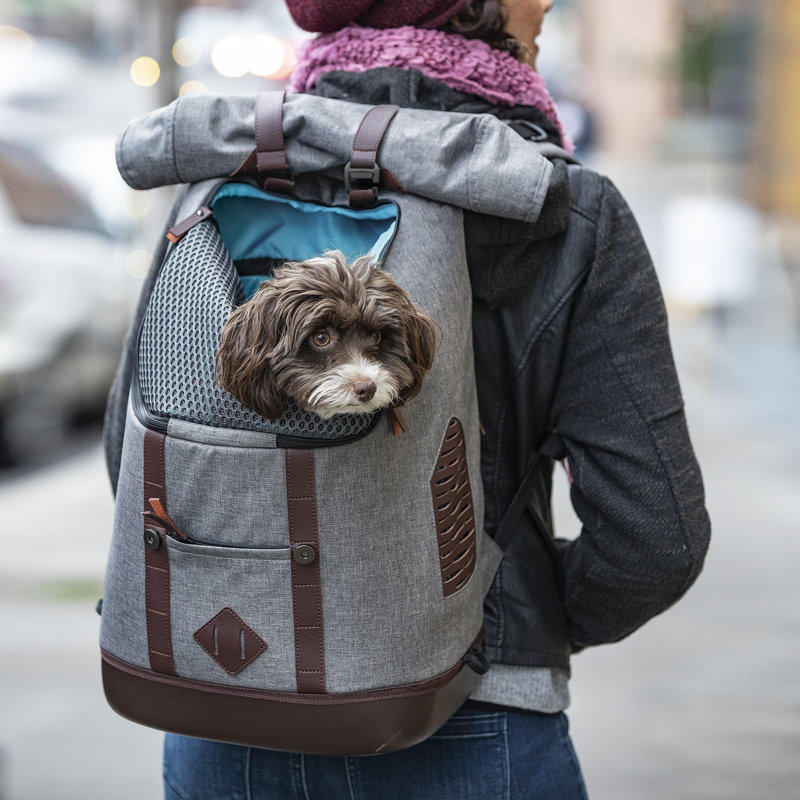 Sac à dos K9 - gris chiné