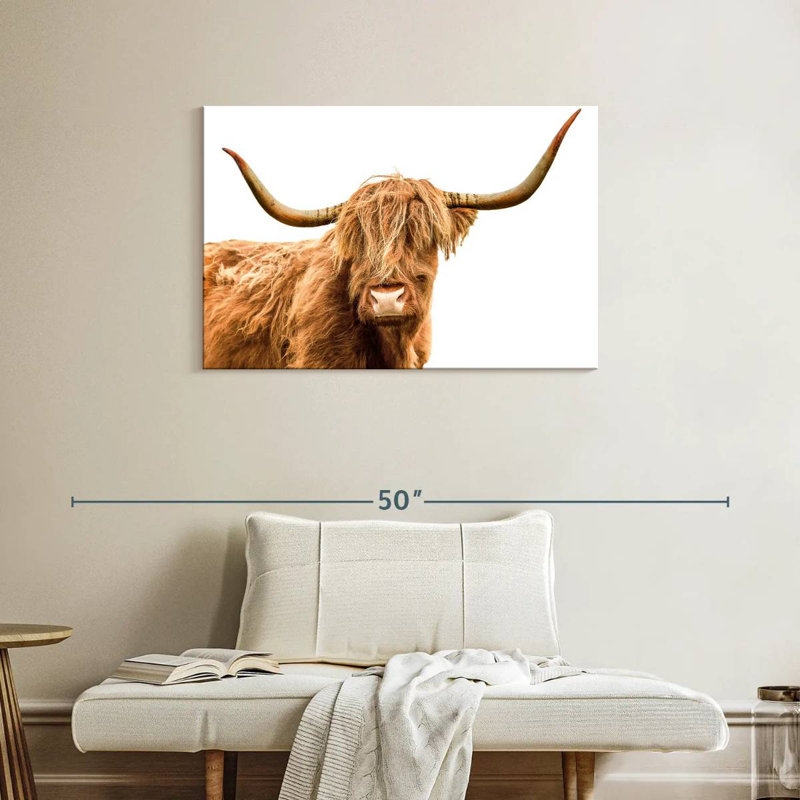 Brampt Looking At You Scottish Highland Cow, 24" H x 36" W