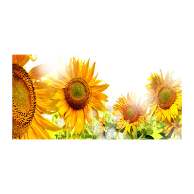 Sunflowers 1 Piece Wrapped Canvas Wall Art