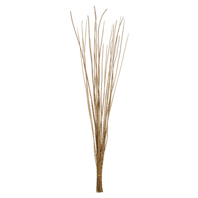 36'' Plant