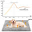 Wacousta Pet Bed Cushion-1600314703