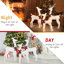 Christmas Deer Lighted Display 3 Piece Set-772121431
