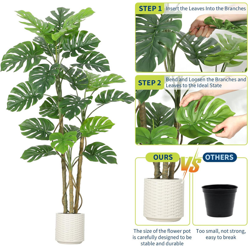 180cm Plant