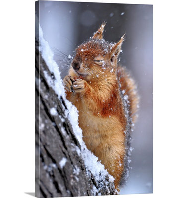 «Winter» par Ervin Kobakci, reproduction de photo de Straub