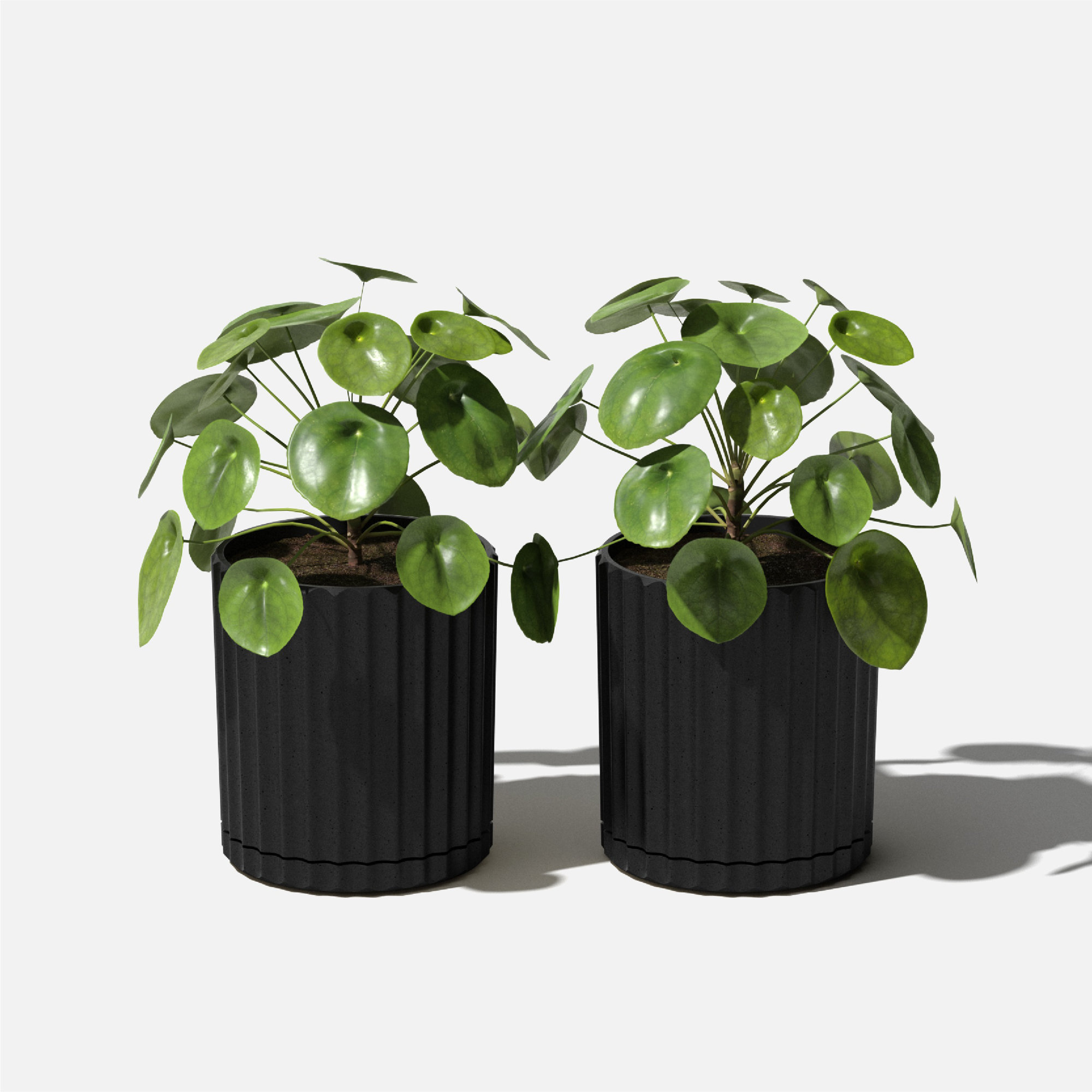 Veradek Demi Series 6" Planter, 2, Black