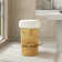 Coralynne Upholstered Counter Stool