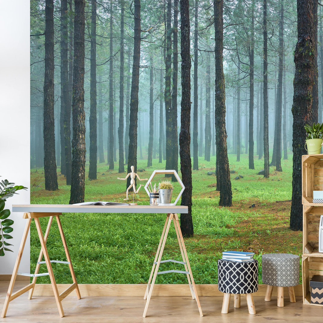 Deep Forest with Pine Trees on La Palma 1.9m x 2.88m Embossed Matt Peel & Stick Mural