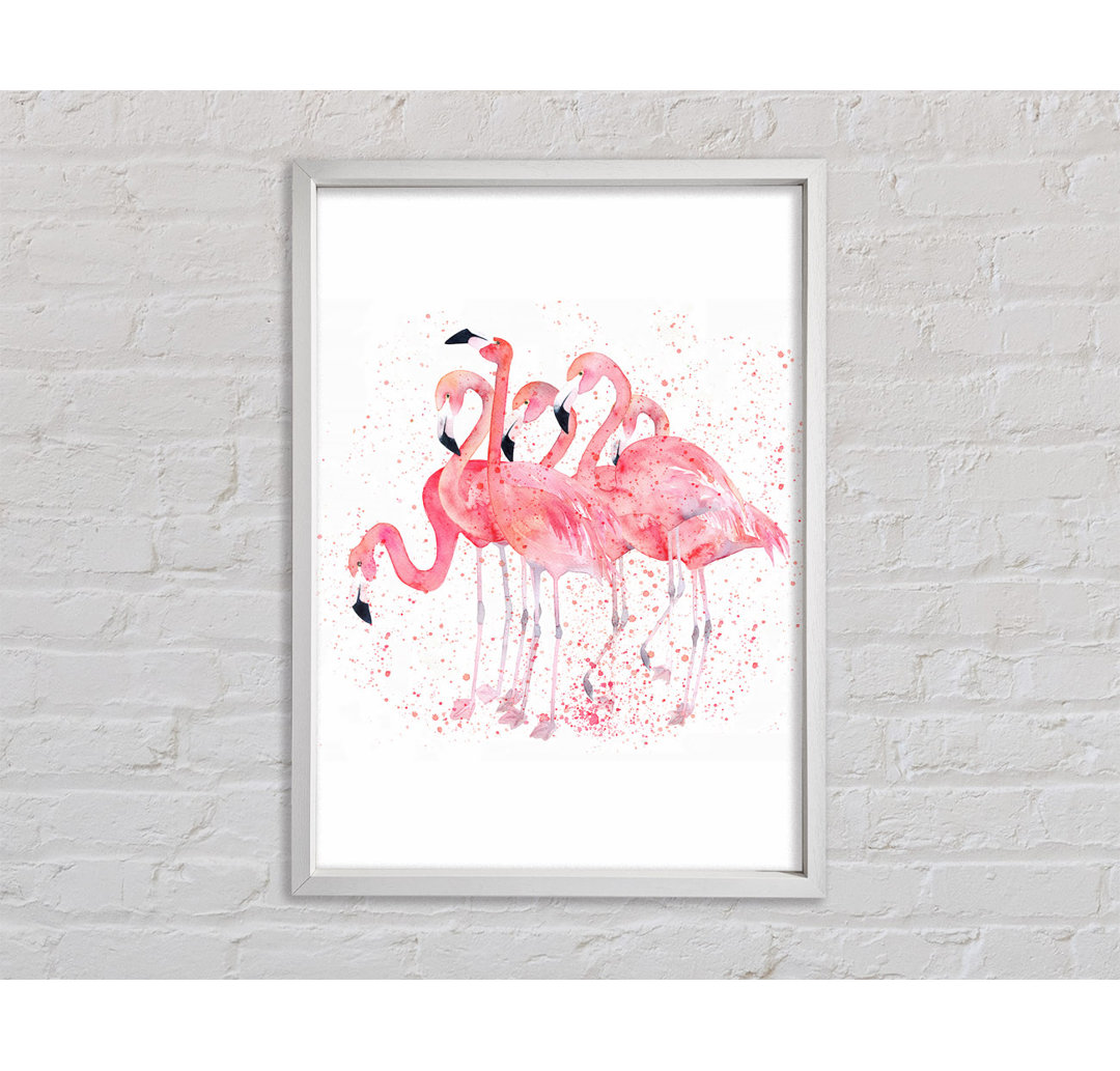 Rosa Flamingo Splash - Druck