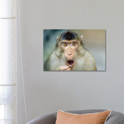 Monkey III by Goran Anastasovski - Wrapped Canvas Print