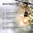 Ambience Pro 24 ft. Plug-In Outdoor Patio LED String Lights with 7 Soft White S14 Edison Bulbs, Weatherproof