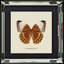 Single Picture Frame Print on Wood