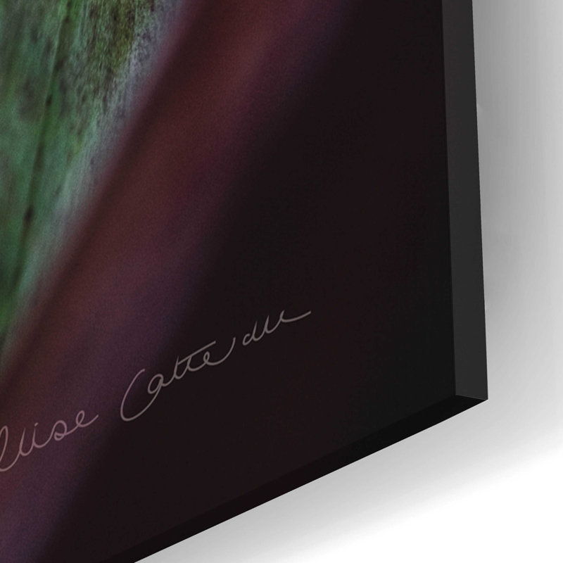 «Succulent Détail II» par Elise Catterall, art mural en verre acrylique, H 24 po x l 16 po x P 0,2 po