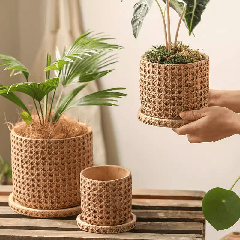 Briony Pot Planter, 6.3'' H x 6.6'' W x 6.6'' D