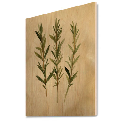 Brins de romarin sauvage - Décoration murale d'herbes aromatiques, imprimée sur bois