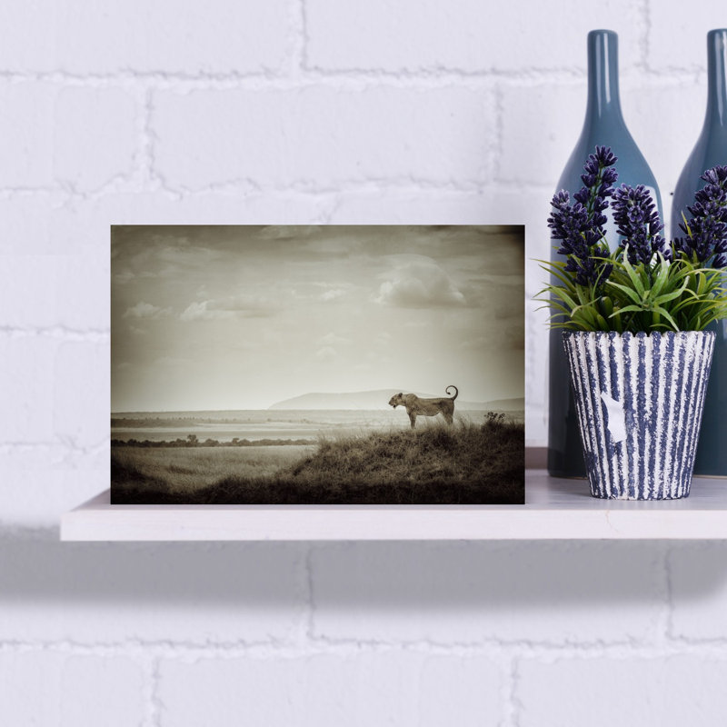 Lioness Overlooking Savanna Vintage Abstract Cat Lion Landscape Nature Wall Art Print 1 Piece Wrapped Canvas Wall Art
