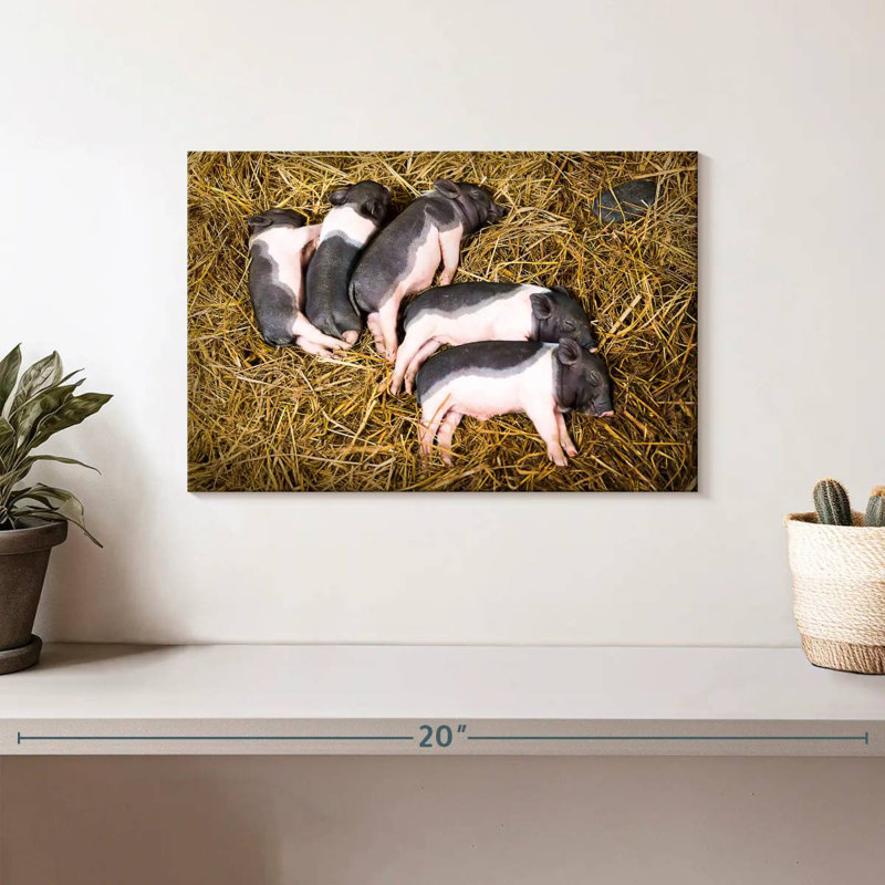Piglet Quintet, 8" H x 12" W