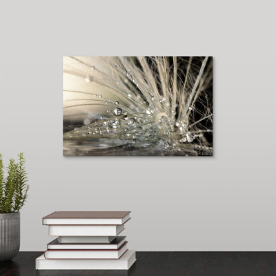 « Straub Pearls » par Maryam Zahirimehr - reproduction de photo