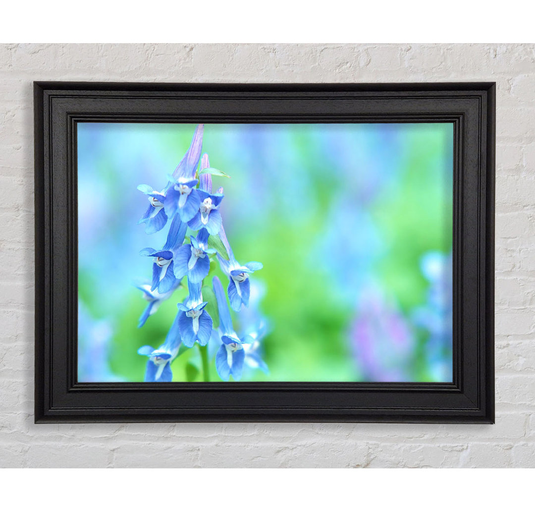 Soft Focus Kleine blaue Blumen Gerahmter Druck