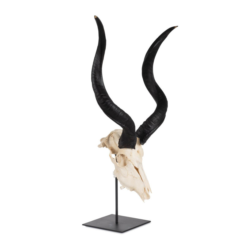 Mounted Kudu Skull, 36" H x 21" W x 10" D