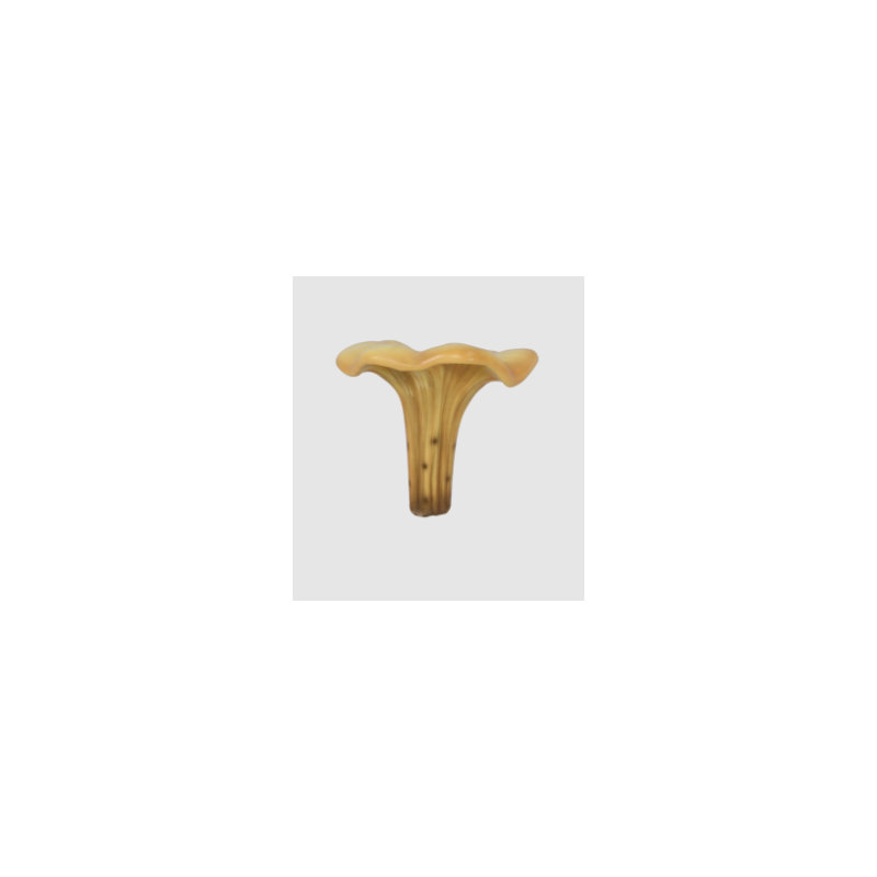 Chanterelle Balan surdimensionné