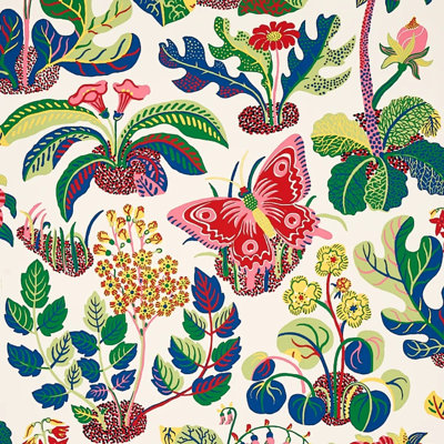 Exotic Butterfly Wallpaper