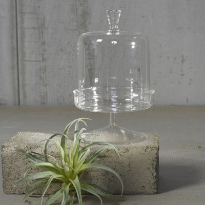 Glass Jar