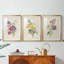 Antique Garden Bouquet I - Impression personnalisée de qualité supérieure avec cadre mat - 3 pièces-83622344-83622340