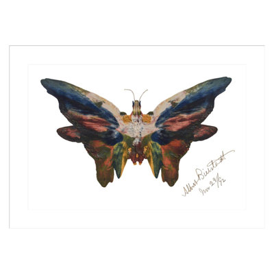 «ButterflyAlbert Bierstadt», estampe numérique encadrée