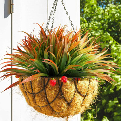 16,9 plante