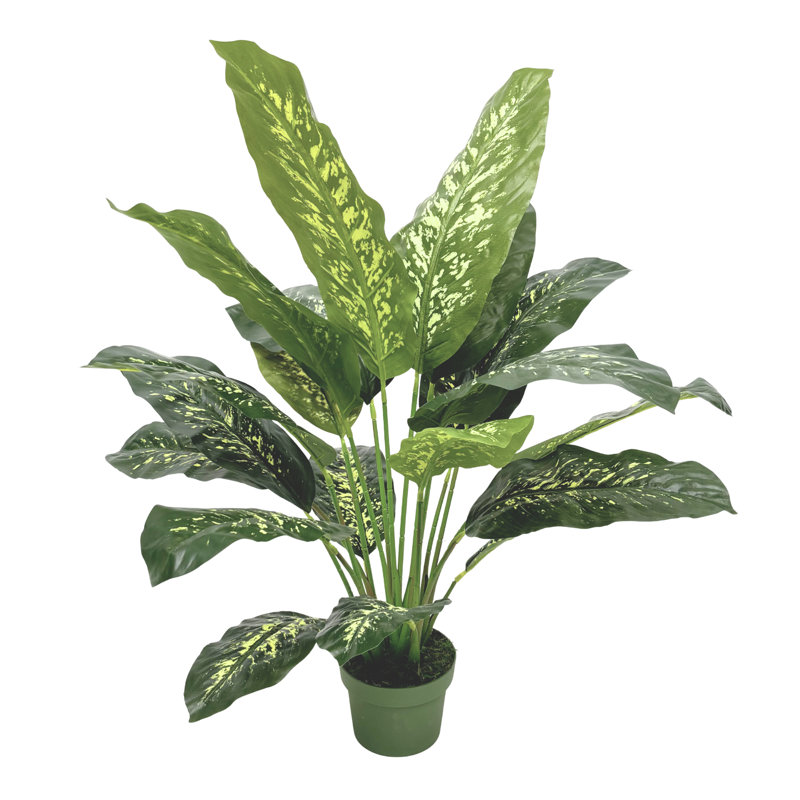 Faux plante de sol Dieffenbachia