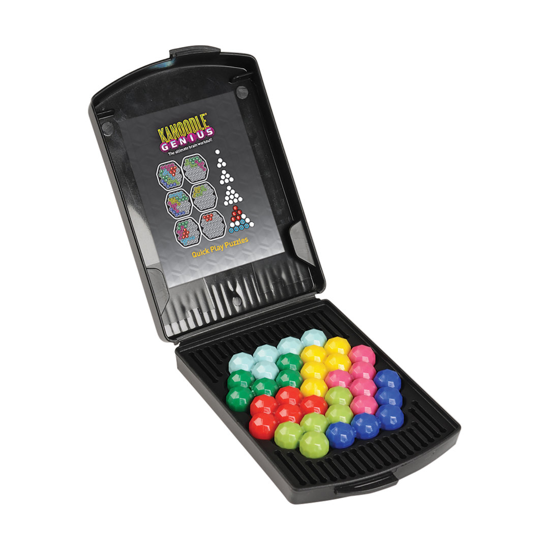 Educational Insights 1 Player Brainteaser Educational Insights