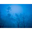 Himalaya Fog Print by Mark Paulda-71199418-132511213