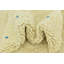 Tapis ivoire Parra