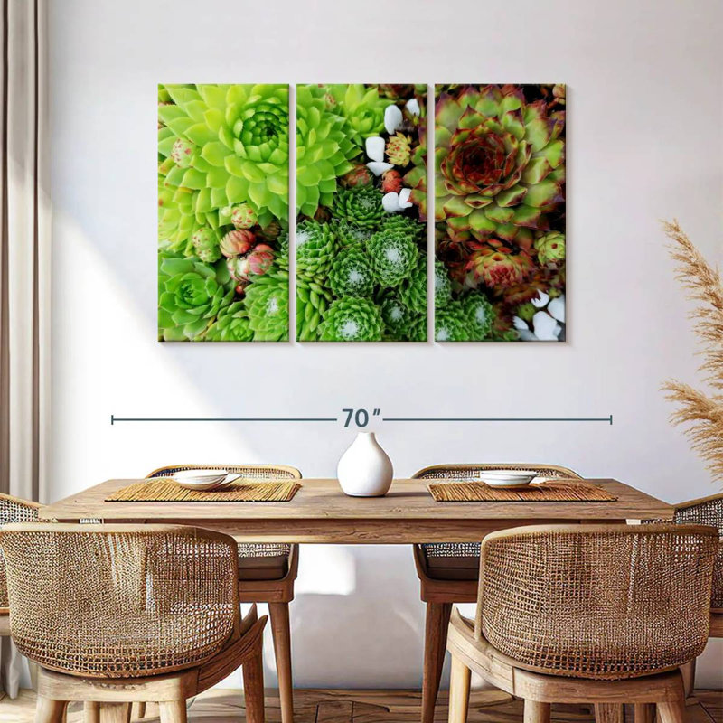 Harnek Succulent Varieties, 36" H x 57" W