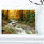Forêt, cascade, arbres jaunes - reproduction de photo-1159866417-1185076777-1113129306