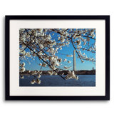 Full Bloom Print by Scott Wurzel