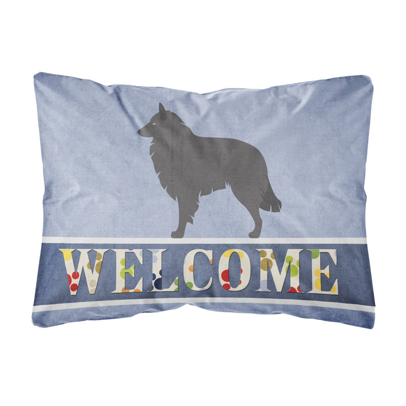  Coussin Groenendael