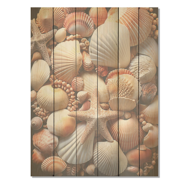 Coquillages classiques au bord de la mer - coquillage sur bois de pin naturel, H 20 po x l 10 po