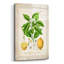 «Citrus Limonum Risso» par Jean Plout, art mural en verre acrylique-1450783452
